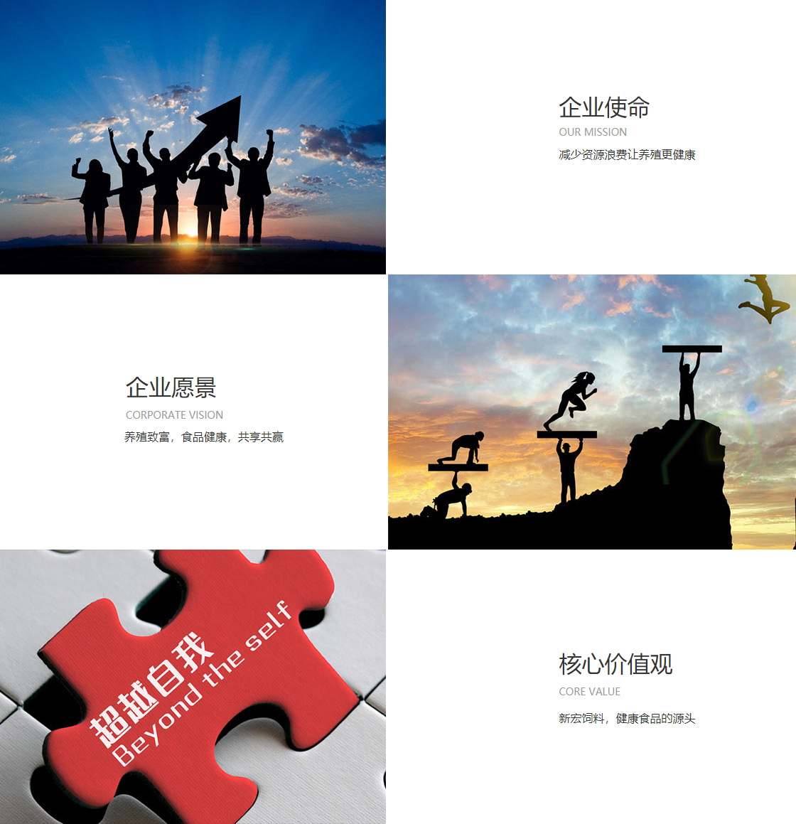 j9国际官网(图1)